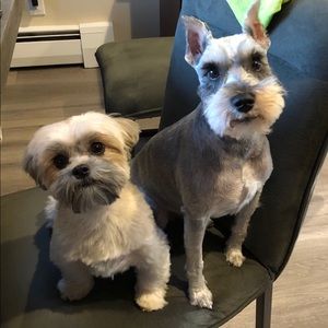 Meet your Posher, Gerard